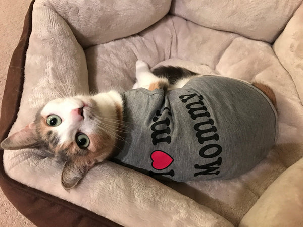 Love Mommy/Daddy Shirt - Cat Roar Store